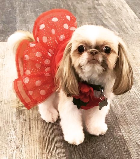 Rosey Mae